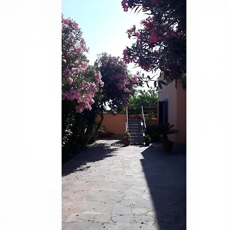 Bed & Breakfast Sabrina Airport *