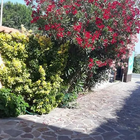 Bed & Breakfast Sabrina Airport Fiumicino